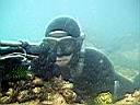 les_sens_du_poisson_hcm34_101.JPG