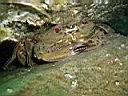 les_sens_du_poisson_hcm34_106.JPG